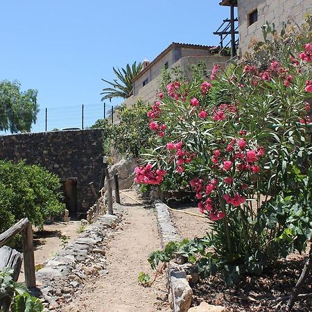 Casa Rural Anton Piche With Pool-Adults Only Granadilla De Abona Exteriör bild