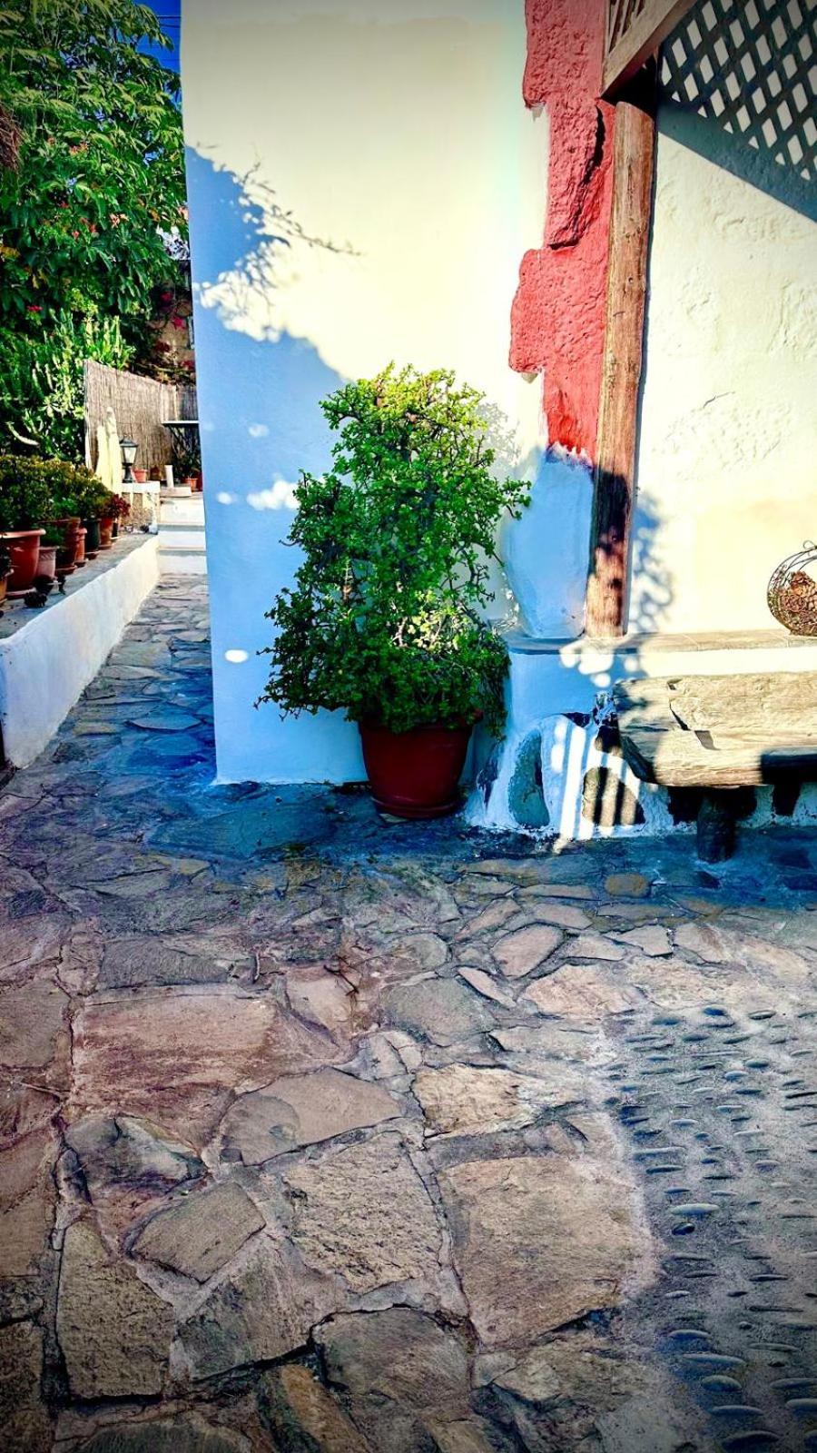 Casa Rural Anton Piche With Pool-Adults Only Granadilla De Abona Exteriör bild