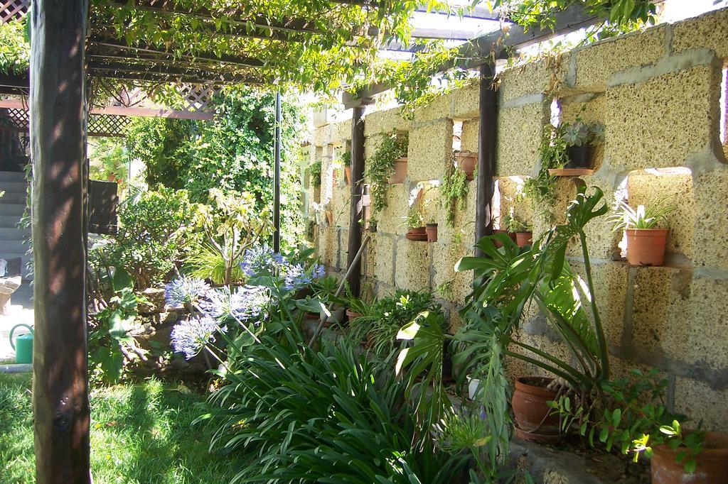 Casa Rural Anton Piche With Pool-Adults Only Granadilla De Abona Exteriör bild