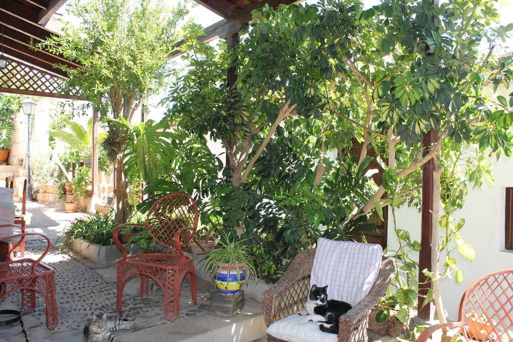 Casa Rural Anton Piche With Pool-Adults Only Granadilla De Abona Exteriör bild