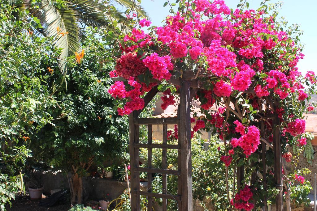 Casa Rural Anton Piche With Pool-Adults Only Granadilla De Abona Exteriör bild