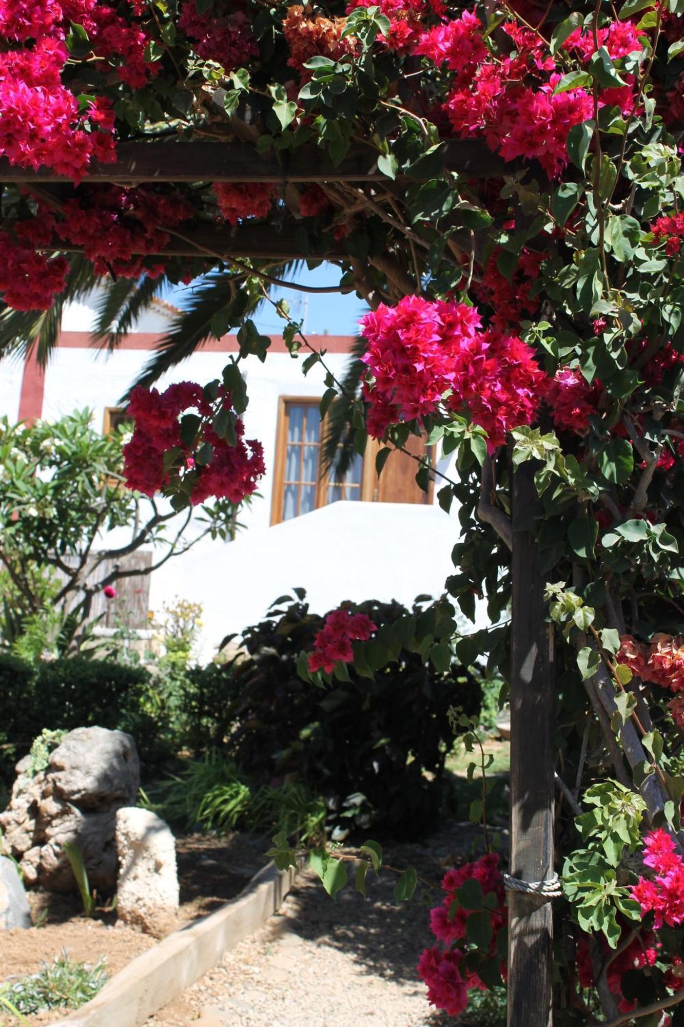Casa Rural Anton Piche With Pool-Adults Only Granadilla De Abona Exteriör bild