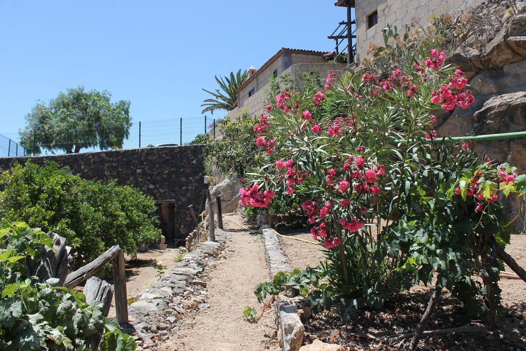 Casa Rural Anton Piche With Pool-Adults Only Granadilla De Abona Exteriör bild