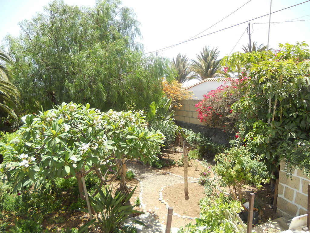Casa Rural Anton Piche With Pool-Adults Only Granadilla De Abona Exteriör bild