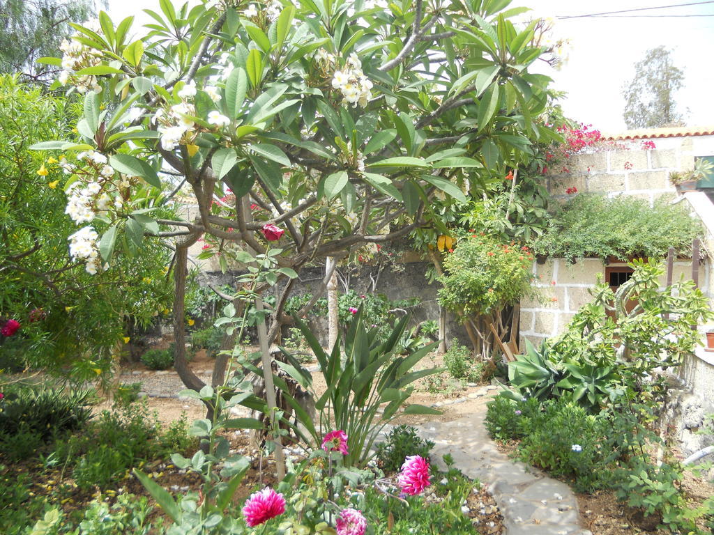 Casa Rural Anton Piche With Pool-Adults Only Granadilla De Abona Exteriör bild