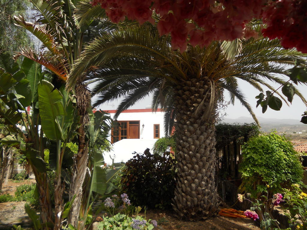 Casa Rural Anton Piche With Pool-Adults Only Granadilla De Abona Exteriör bild